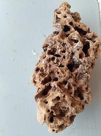 pietra forata per acquario, 