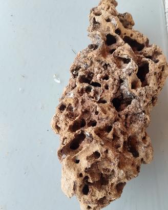 pietra forata per acquario, 