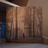 Folklore, Taylor Swift (Vinile)