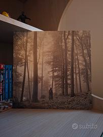 Folklore, Taylor Swift (Vinile)