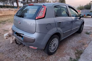Fiat Punto Evo con gancio di traino