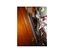 Immagine 10