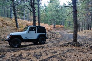 Jeep Wrangler Tj 4.0 manuale 