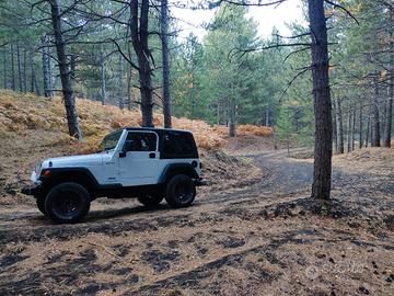 Jeep Wrangler Tj 4.0 manuale 