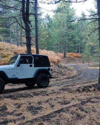 Jeep Wrangler Tj 4.0 manuale 