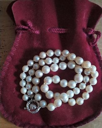 Collier perle di fiume 50cm gancio argento 925/00