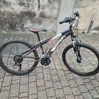 Bicicletta bambino/ragazzo