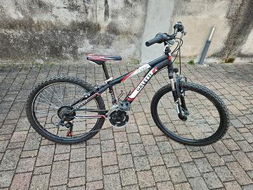 Bicicletta bambino/ragazzo