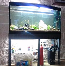 Aquario Sinuo 250 Askoll Tenerif