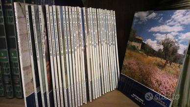 Notiziari banca popolare