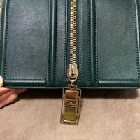 Borsa Elisabetta Franchi verde con catenella oro