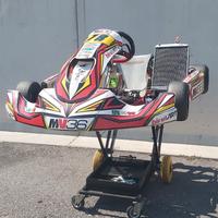 Go Kart birelart S15 