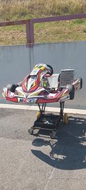 Go Kart birelart S15 