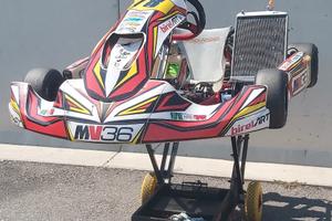 Go Kart birelart S15 