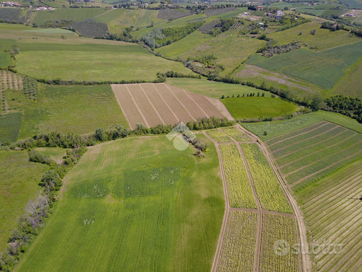 TER. AGRICOLO A RIMINI - Vista 2