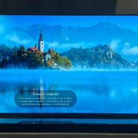 TV LG OLED 55 pollici