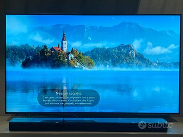 TV LG OLED 55 pollici