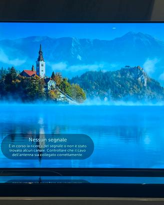 TV LG OLED 55 pollici