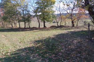 Terreno agricolo Sila