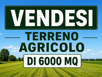 Terreno agricolo di circa 6.000 mq