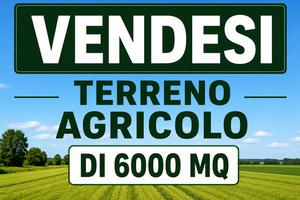 Terreno agricolo di circa 6.000 mq