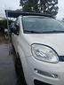fiat-panda