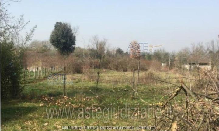 Terreno Agricolo Castel Sant'Elia [A4330109]