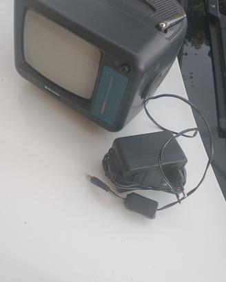 Televisore portatile 