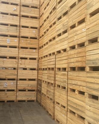 Bins cassoni legno