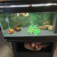 acquario 150 litri