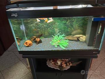 acquario 150 litri
