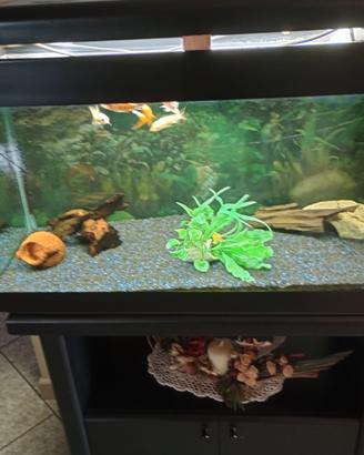 acquario 150 litri