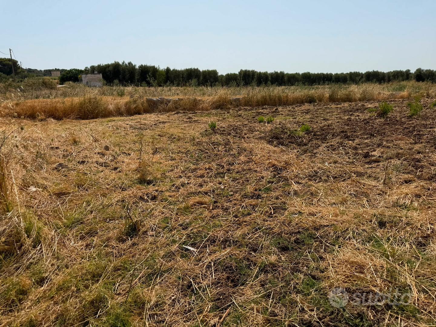 Terreno 3000 mt2 - Vista 5