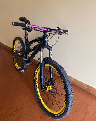 Santacruz nomad