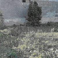 Casa Terrana con Terreno Edificabile Gravina