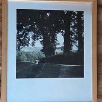 foto opera di Giovanni Pezzani