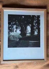 foto opera di Giovanni Pezzani