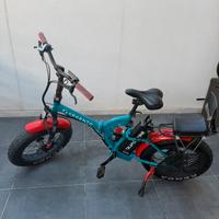 Bicicletta elettrica