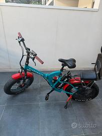 Bicicletta elettrica