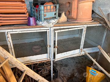 Gabbia animali conigli