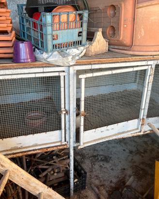 Gabbia animali conigli