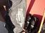 Immagine 5