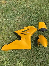 Carene Triumph Daytona 675 2007