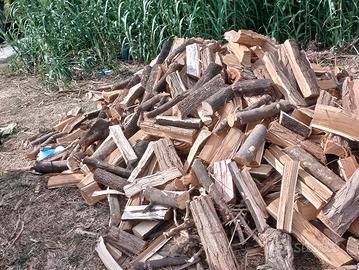 legna da ardere-la migliore- leccio/quercia/faggio