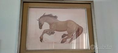 Quadro olio su tela Raff. cavallo