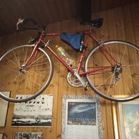 Bici da corsa Maggioni