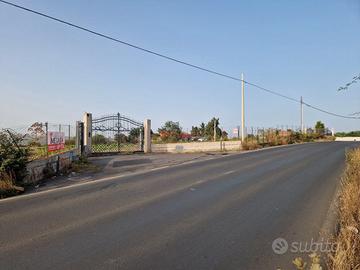 Terreno agricolo Strada Provinciale 13