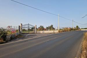 Terreno agricolo Strada Provinciale 13