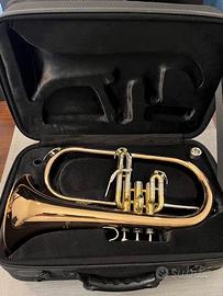 Flicorno Soprano Sib TREVOR JAMES