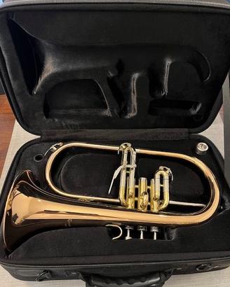 Flicorno Soprano Sib TREVOR JAMES